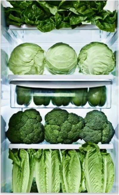 格力冰箱大揭秘：20天青菜依旧新鲜，成长性惊人！