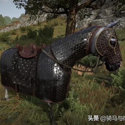 《龙腾世纪4》幕后：EA高层为何弃用“影障守护者”？