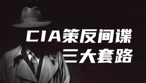 《多重人生手电筒攻略：轻松获取方法大揭秘》