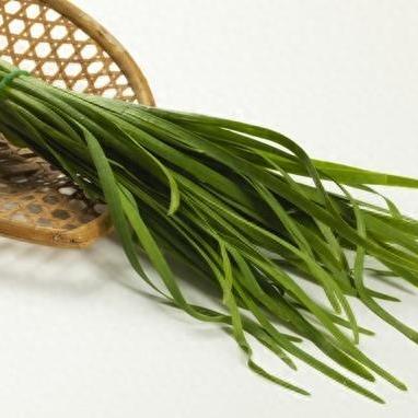 《多重人生攻略：高效食物获取与储存技巧》