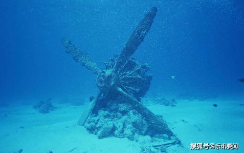 海洋危机！世界最小海洋被神秘“鼻涕”吞噬，揭秘真相