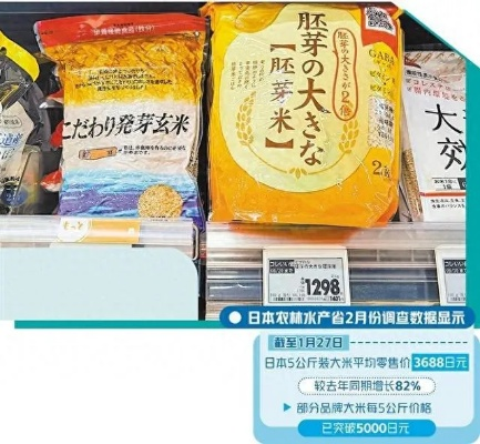 日本农林水产省揭秘：大米短缺真相曝光！