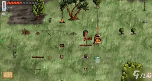 《多重人生草履球攻略：玩法揭秘与实战作用》