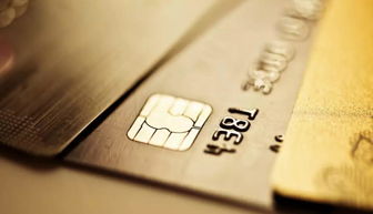 《多重人生卡关攻略：子宫进入难题破解》