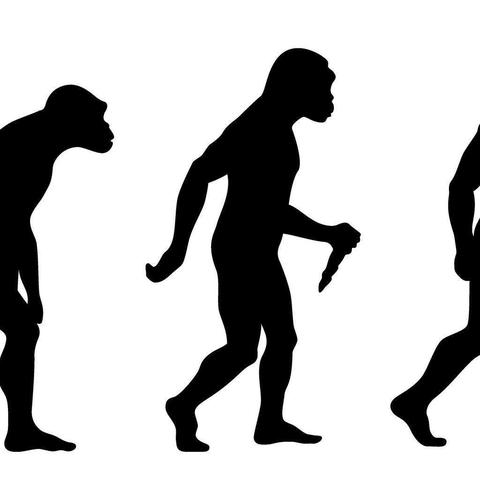 原始人探险：石器时代生存挑战之旅