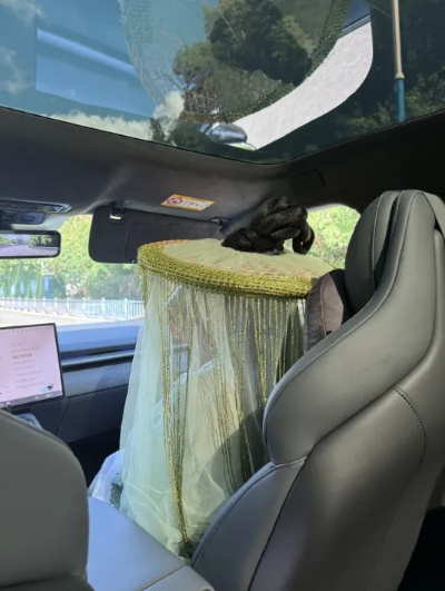 小鹏P7试驾：美女博主挑战12cm超高发型，顶头效果惊人！