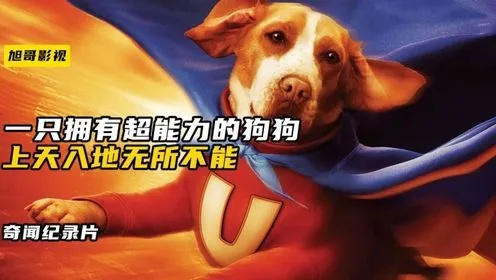《神秘超犬小氪：揭秘为何不能近人类！》