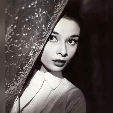 《两只蝴蝶》词曲作者爆赚两亿，仅收5000元！揭秘幕后真相