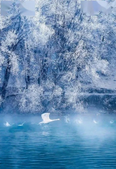 《明末：渊虚之羽》绝美女主，高清风景壁纸大赏