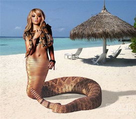 探寻神秘！云南现罕见“美女蛇”，全国仅10余例！