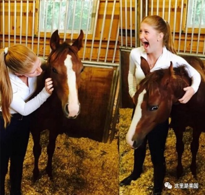 丹麦妈妈大方捐女儿小马喂狮，坚持不后悔！