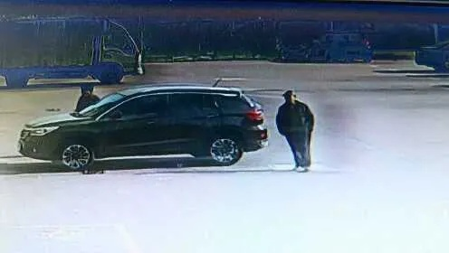 大爷划车潇洒走，理想汽车哨兵全程记录！