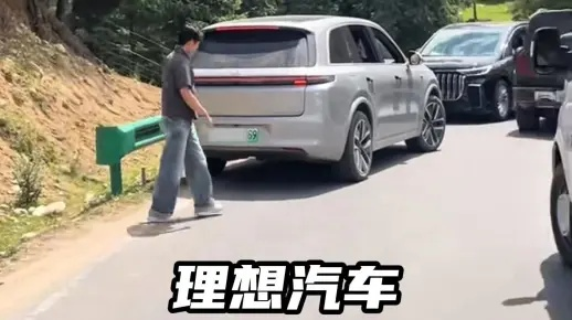 大爷划车潇洒走，理想汽车哨兵全程记录！