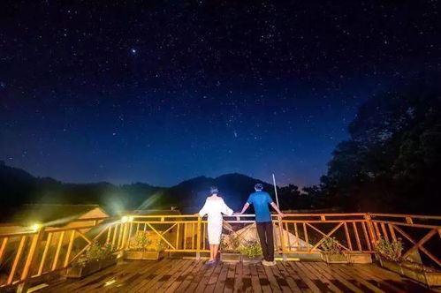 沉浸美景，慢游至上！探索不愿用快速旅行的游戏魅力