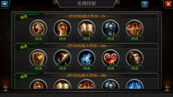 《龙魂旅人巨龙精魄攻略：高效打法揭秘》