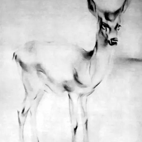 《堕落之主2》：史诗级游戏，超越《星球大战2》与《黑暗骑士》