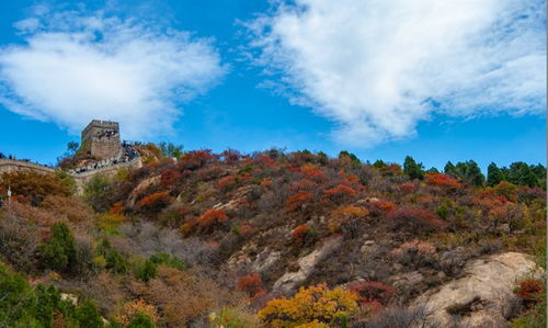 八达岭长城景区开启“不文明游客”曝光大屏，乱刻划者实时曝光！