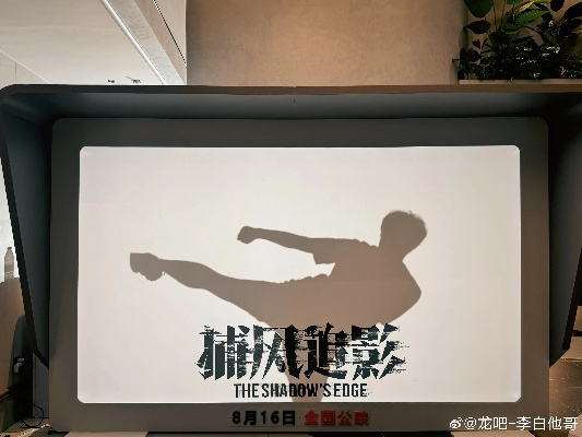 《捕风追影》爽度飙升：豆瓣8.1高分动作盛宴！