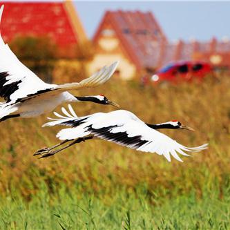 《三角洲行动》主机版今日上线！PS5存储容量大揭秘