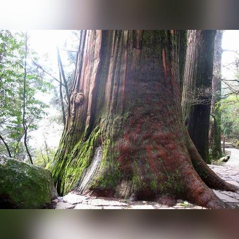 《雾锁王国》水域大更新：探索神秘新水域！