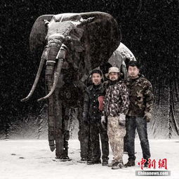 《敖德萨叛乱报纸藏身之谜：四海兄弟寻报记》