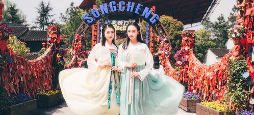 《羊绒仙境》资料片2026年初惊艳来袭！