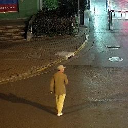 景区马拖行事件引热议，演员回应：游客开心是关键！