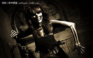 《月光惊悚！万圣节新作曝光，导演再现经典恐怖》