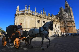 西拉古萨侯爵拍照攻略：最佳拍摄点位揭秘