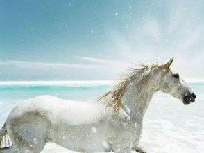 《肉鸽新秀！科隆展MOBA独游引关注》