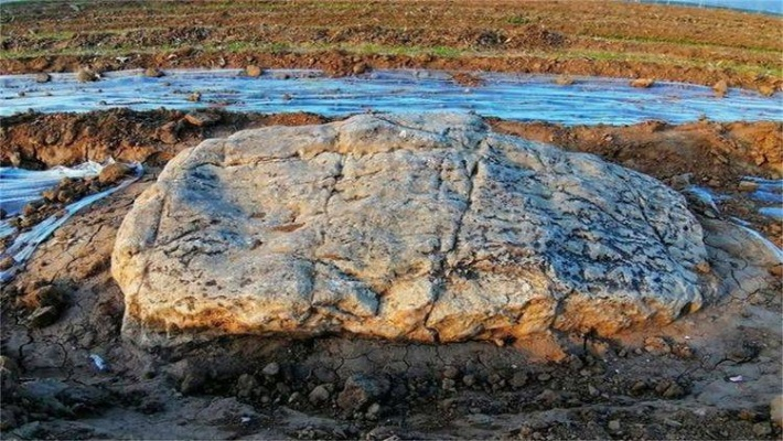 矮山传奇：0.6米县级文物，全国最矮山火遍全网