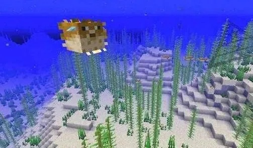 《Minecraft河豚获取攻略：用途与特性揭秘》