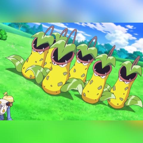 《宝可梦Z-A》惊悚预告：大食花Mega进化震撼来袭！