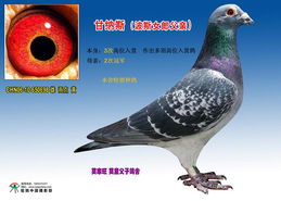 《波斯王子》新作为肉鸽玩家量身打造！83分必玩佳作！