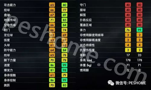 《泡姆泡姆地图卡顿速解！高效解决攻略》