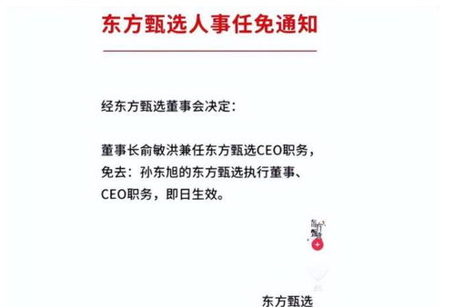 东方甄选孙东旭离职传闻：小作文事件背后真相揭晓