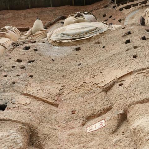 高速惊魂！爆胎后4人弃车狂奔赶飞机，紧急时刻如何求生？