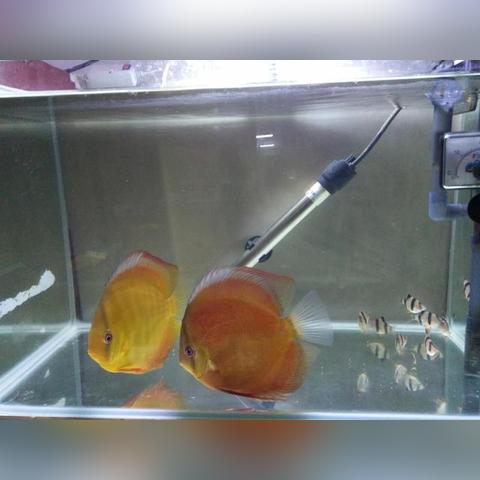 《生化9》横扫大奖！全境封锁2新玩法大揭秘