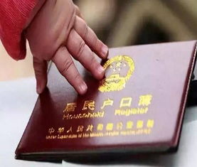 应届生落户上海遇社保乌龙，5万赔偿揭秘！