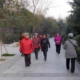 微信步数揭秘：轻松判断消息是否已读！