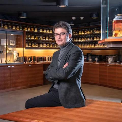 猪脑复活奇术！50分钟“死猪”脑重燃生机