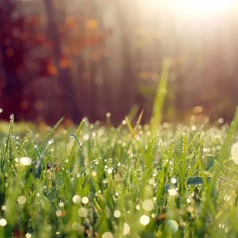 峨眉山巨胖挑战：2万请轿夫抬263斤男子走42公里！