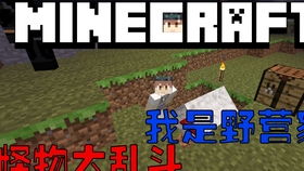 《Minecraft谜之炖菜攻略：合成方法大揭秘》