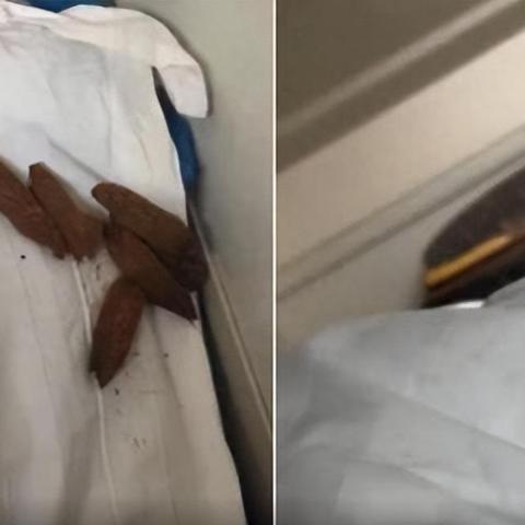 12306回应加挂吸烟车厢：网友热议，官方如何回应？