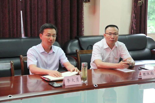 远光84职业攻略：揭秘职业定位与玩法技巧