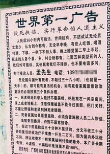 燕云十六声伏马庄万事知攻略大全，清河善妙洲全解析秘籍