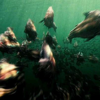 《生化危机》惊险一幕！莱昂险些丧命，真实演技引热议