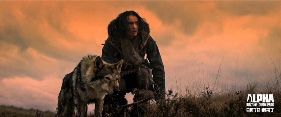 《狼伴侣》惊险追击：体验被狼妹妹狂追的刺激冒险！