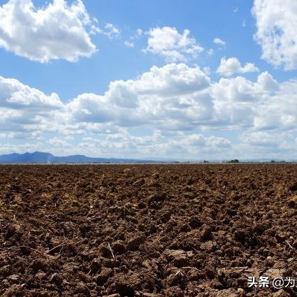 《94%好评横版种田新升级！免费更新，超萌养殖系统来袭》