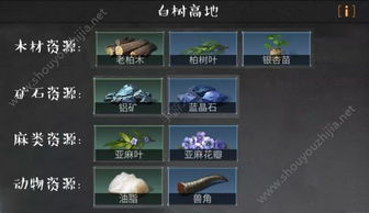 远光84高级资源区攻略：轻松解锁高级资源获取方法